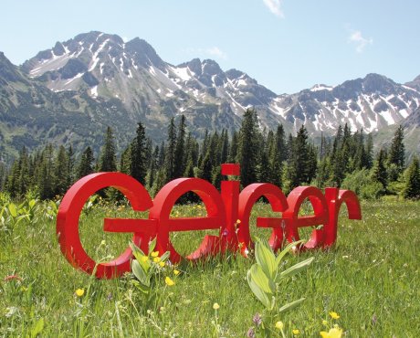 Geiger Logo